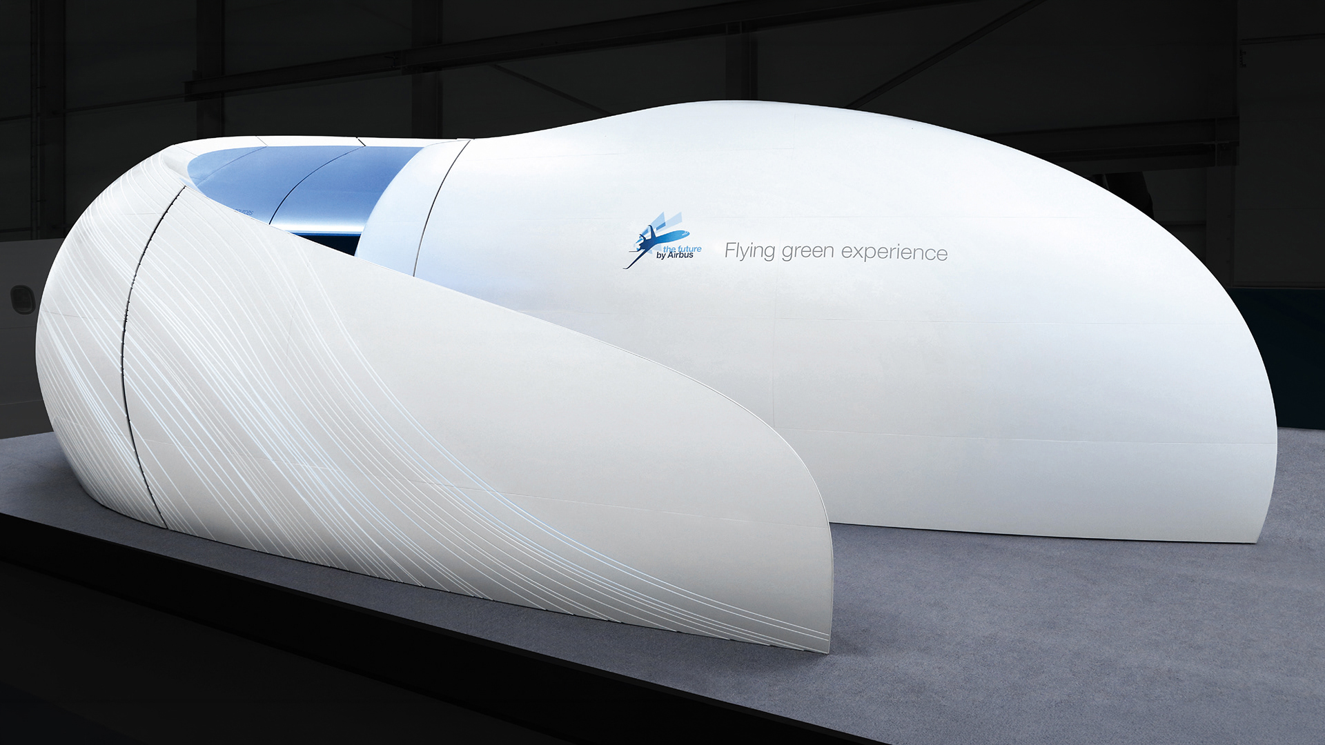 Airbus — Flying Green Experience